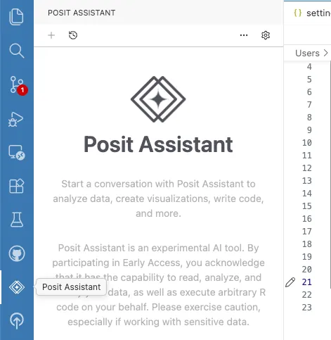 Posit Assistant sidebar view in Positron